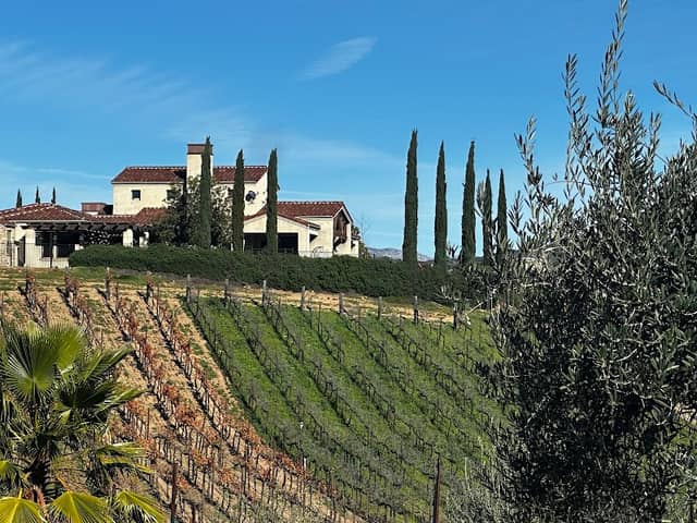 Grapeline Wine Tours - Image 1