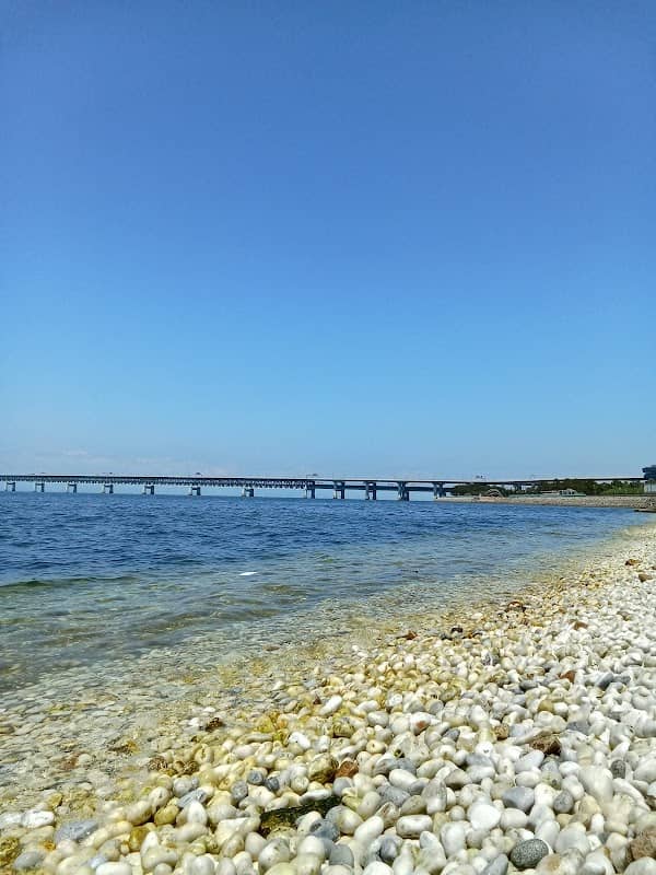 Central Observation Deck - Image 1