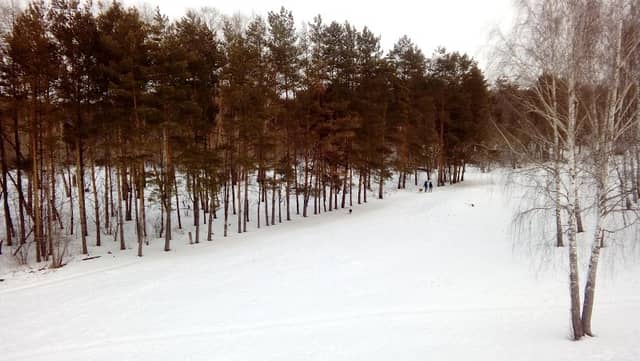 Azinskiy Les - Image 1