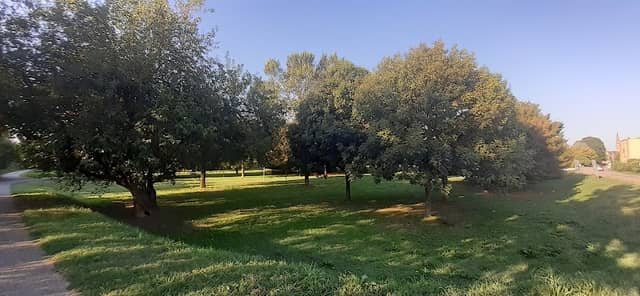 Parco Bodana Bastoni - Image 2