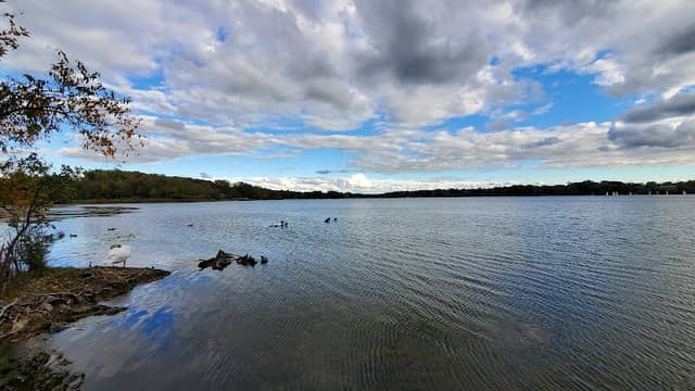 Waterfront / Gilmore Park - Image 2