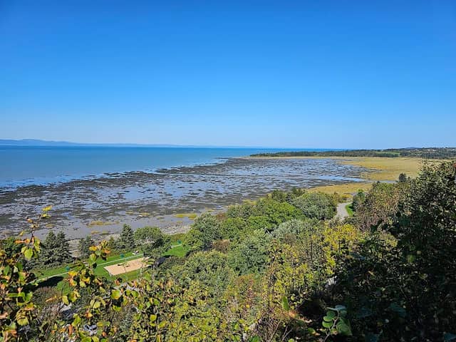 view point of parc de la pointe - Image 2