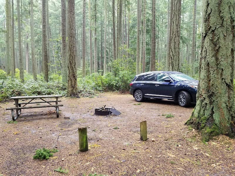 Rhododendron Park - Image 1
