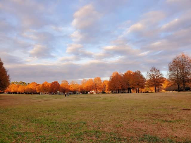 Walter Y. Elisha Park - Image 2