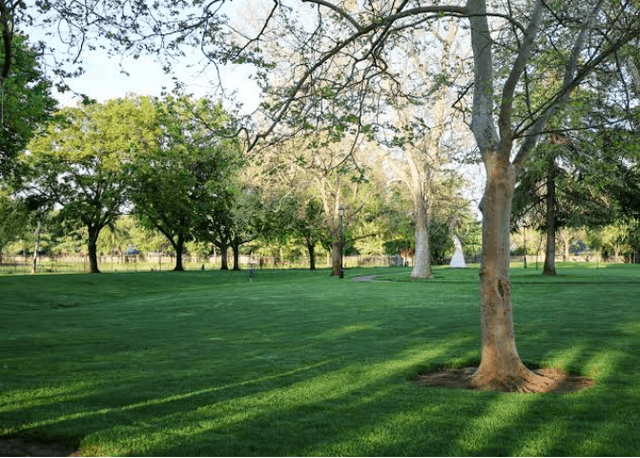 Varinder Park - Image 1
