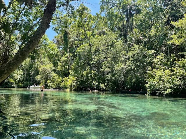 Chassahowitzka River - Image 3