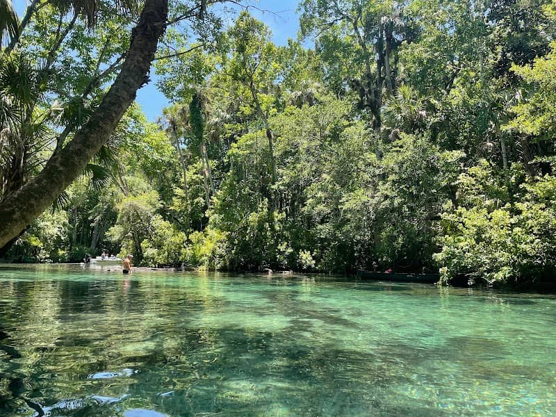 Chassahowitzka River - Image 3