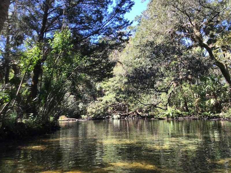 Chassahowitzka River - Image 1