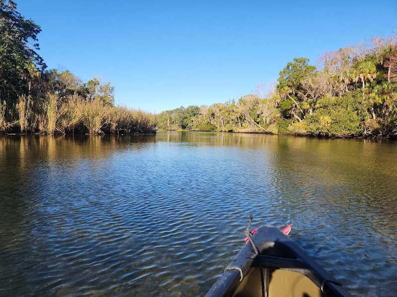 Chassahowitzka River - Image 2