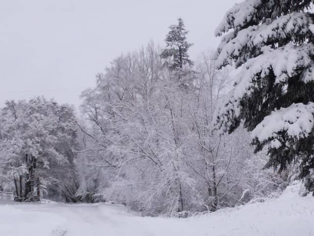 Ruhl Park - Image 1