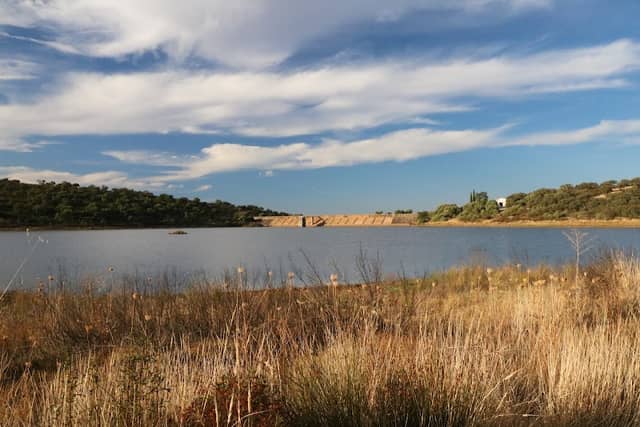 Parque Natural de Cornalvo - Image 3