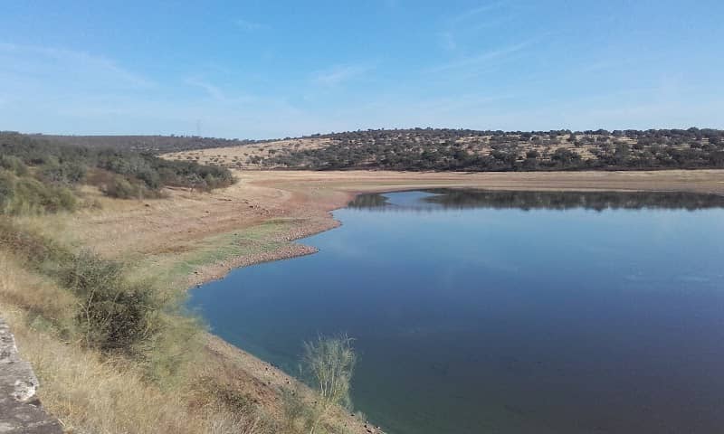 Parque Natural de Cornalvo - Image 2