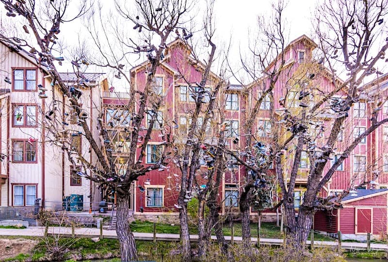 Shoe Tree Park - Image 1