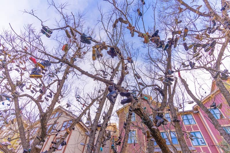 Shoe Tree Park - Image 2