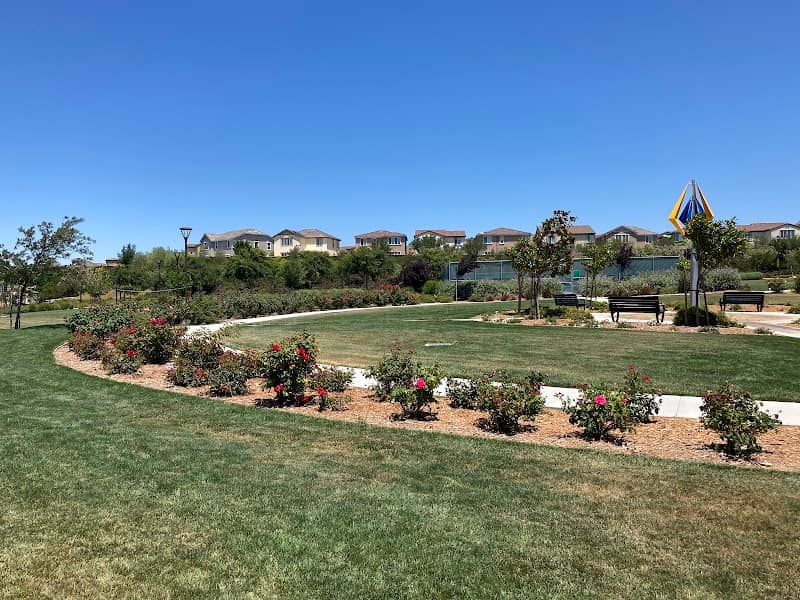 Sean Diamond Park - Image 2