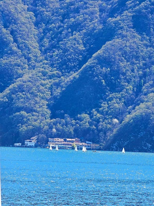 Caprino - Image 2