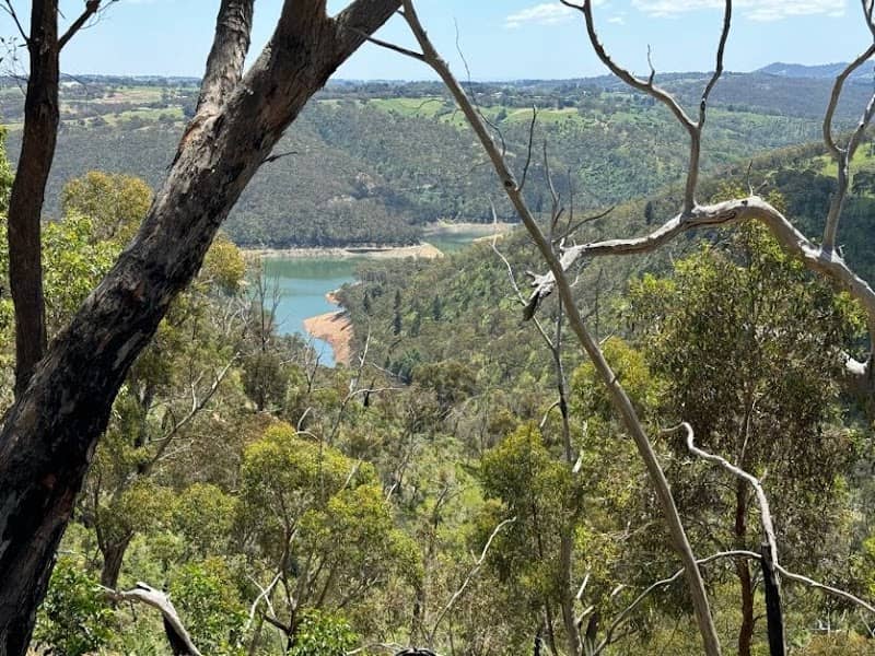 Montacute Conservation Park - Image 1