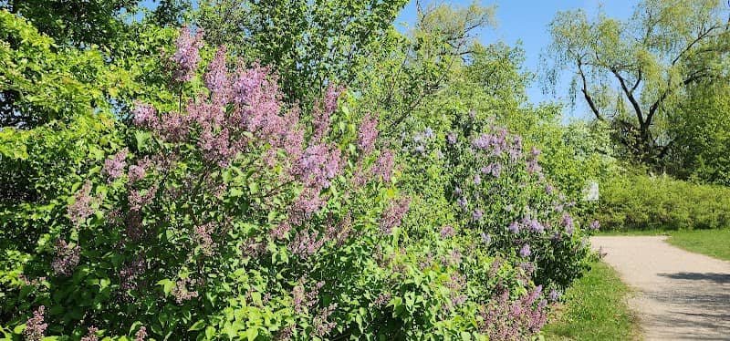 Park Urnengräberfeld Zuchering - Image 2