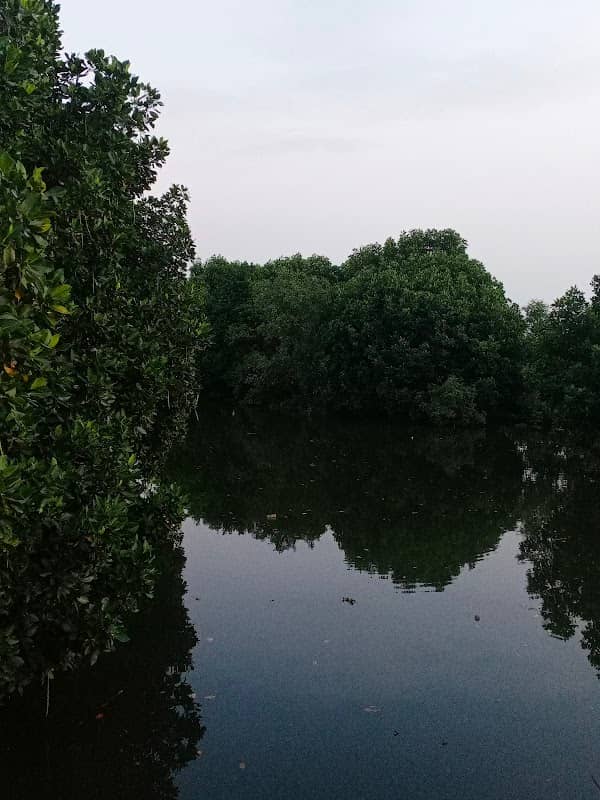 Kali Kraton, Musium Mangrove Tarumanegara - Image 1