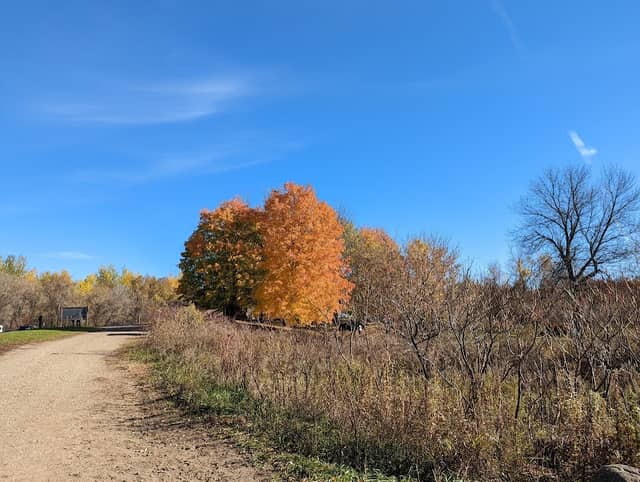 Crow Hassan Trailhead - Image 1