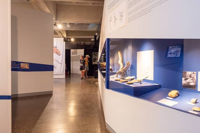 Musée de préhistoire de Solutré - Image 1