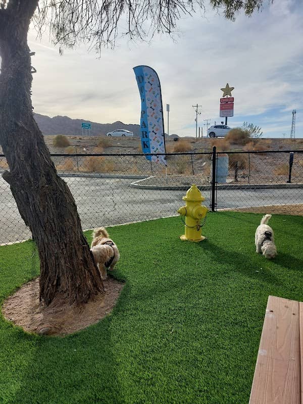 Quartz site dog park - Image 1