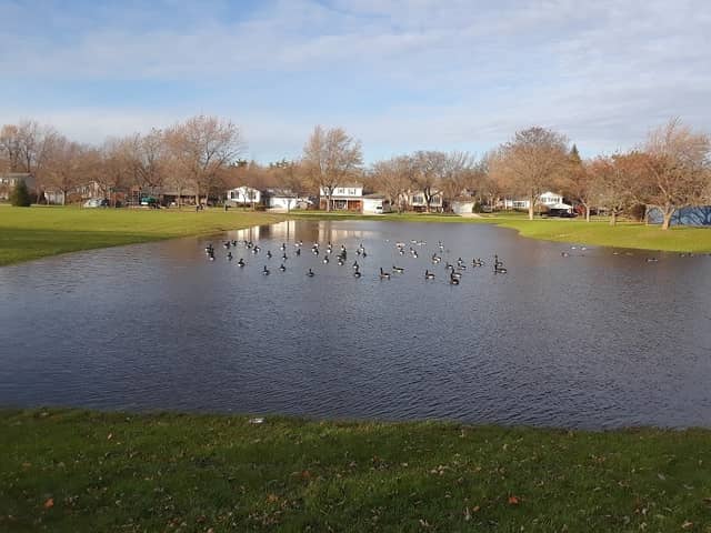 Hinsbrook Park - Image 1