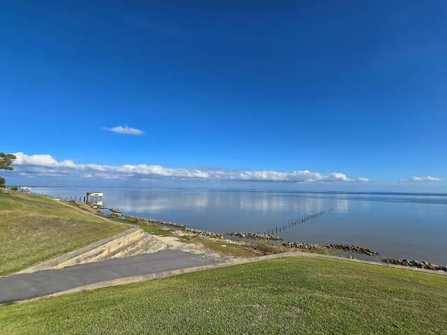 McCollum Park - Image 1