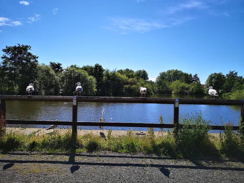Kincraig Nature Reserve - Image 2