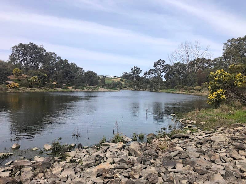 Gleeson Wetlands - Image 1