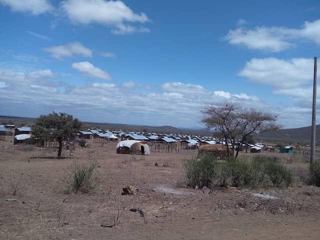 Magado - Image 1