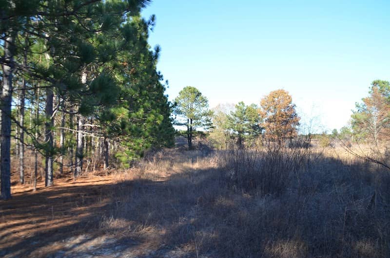 McBee Wildlife Area Parking Area - Image 2