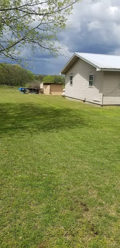Jose, Landscaping cervice - Image 1