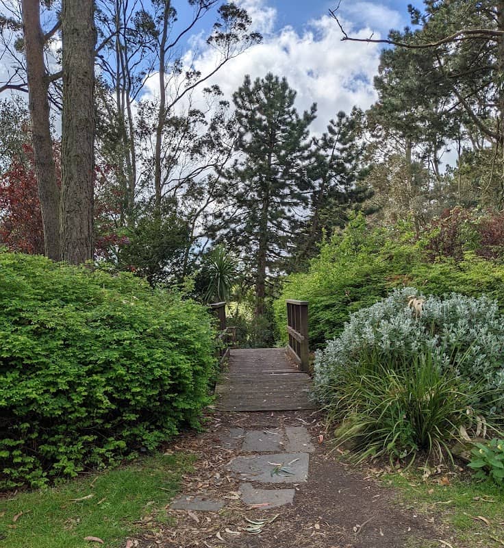 Broughty Ferry Nature Reserve - Image 2