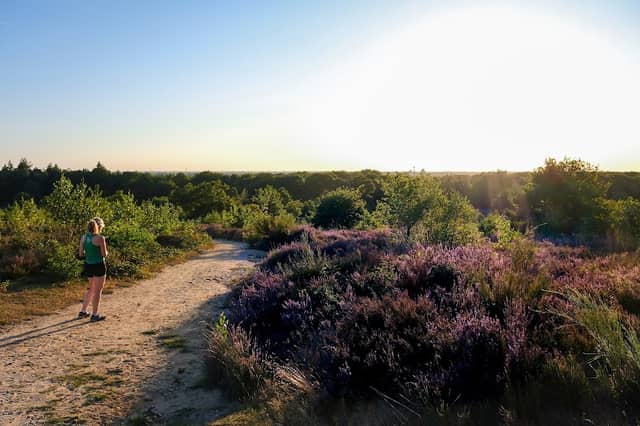 Mulderskop - Image 1