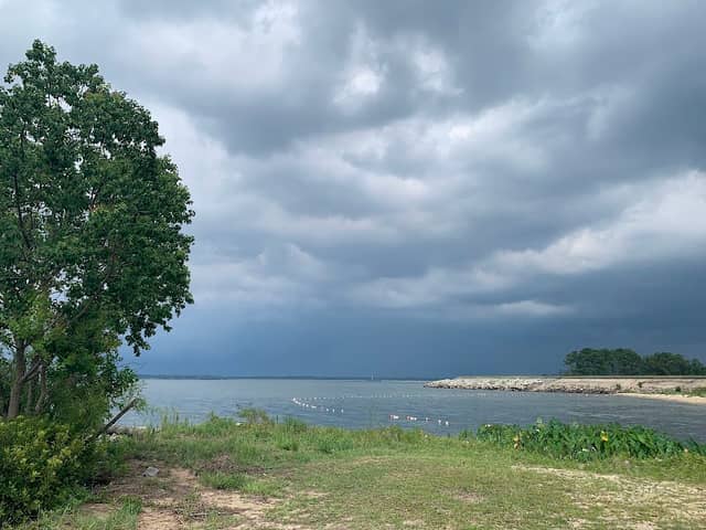 Lions Beach - Image 1