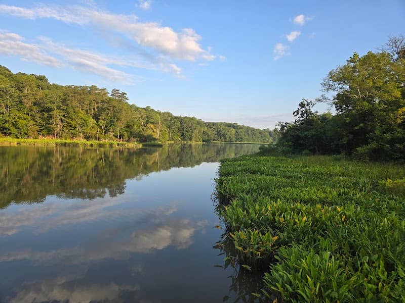 College Landing Park - Image 1