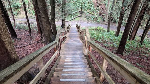 Doumac Park - Image 1