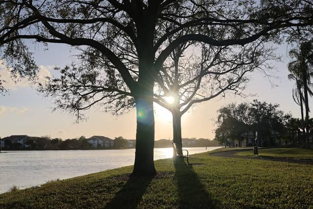 Welleby Park - Image 1
