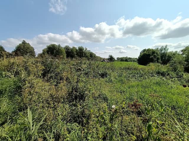 Linge over - Image 1
