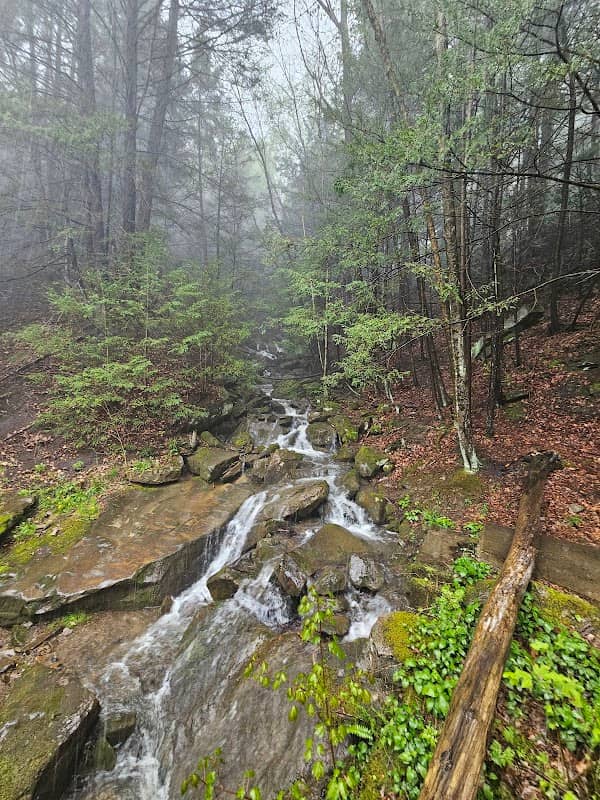 Buttermilk Falls - Image 3
