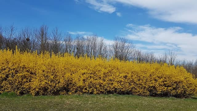 Montecucco Park - Image 1