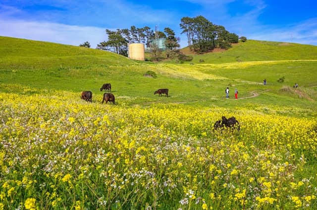 Wildcat Canyon Upper Entrance - Image 3