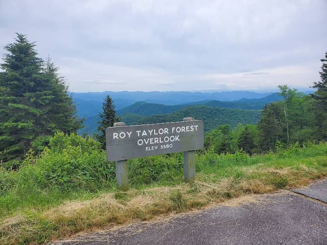 Roy Taylor Forest Overlook - Image 2