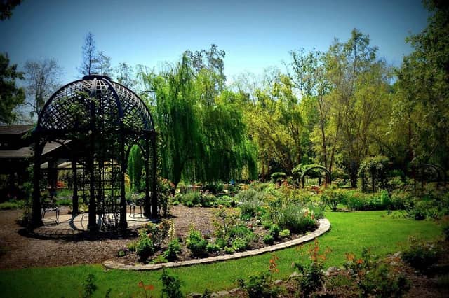 Descanso Gardens - Image 5