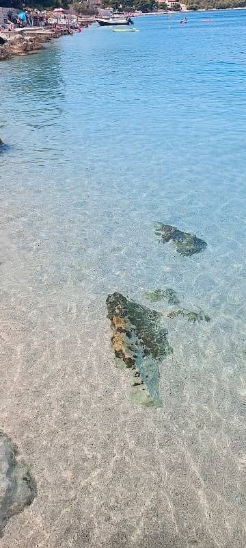 Plaža Ražanjski Maldivi - Image 1