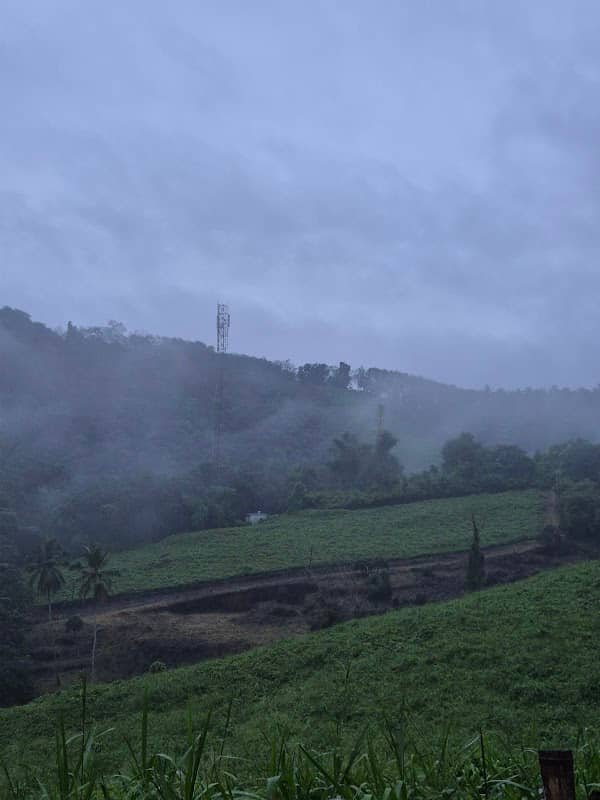 Puthanangadi hills view ( green point ) - Image 1