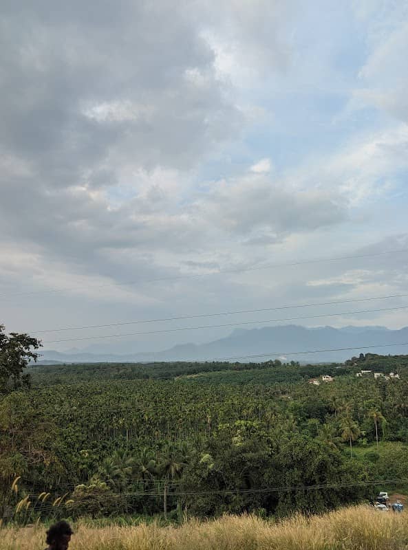 Punkavanam waterfalls - Image 1