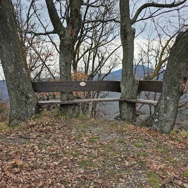 Panchina dei Pensieri - Image 1