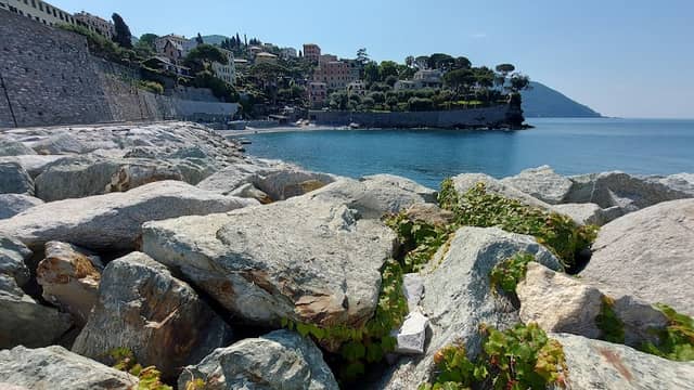 Moli Foranei - Image 1
